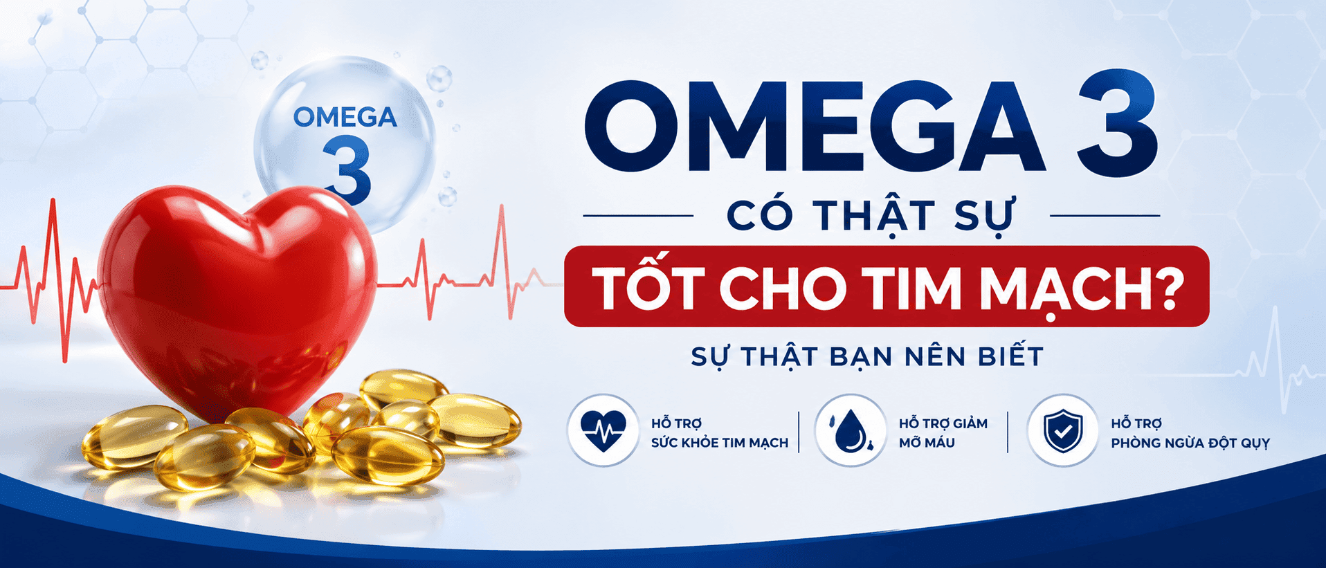 Omega 3 Có Thật Sự Tốt Cho Tim Mạch? Sự Thật Bạn Nên Biết