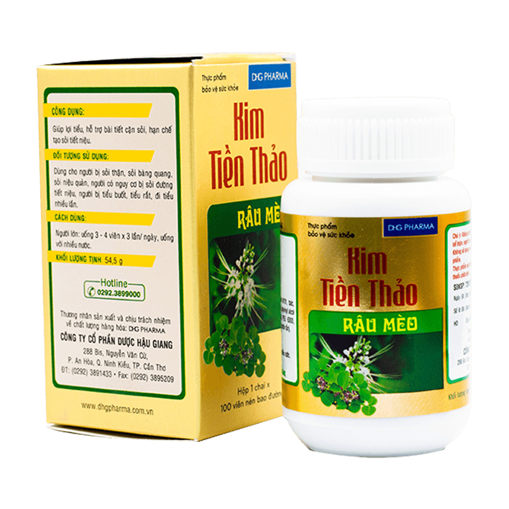 Kim tiền thảo râu mèo DHG (C/100V)