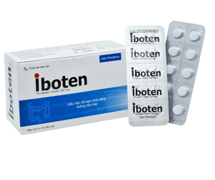 Iboten 100mg dhg (h/100v)