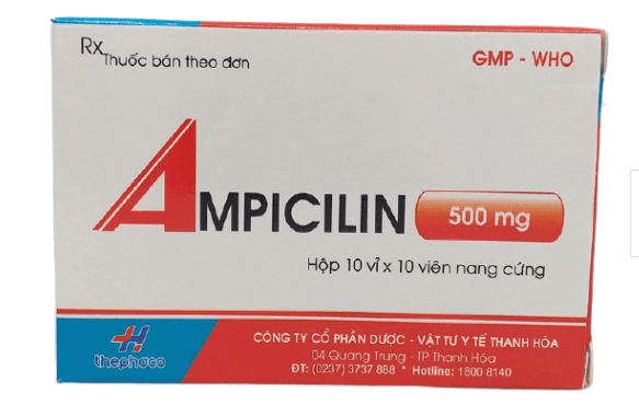 Ampicilin 500mg thehaco (h/100v)