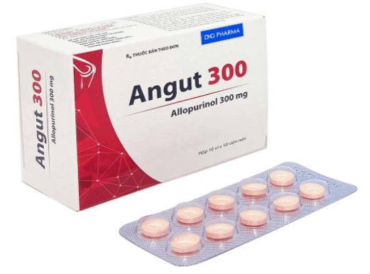 Angut 300 dhg (hộp/100 viên nén)