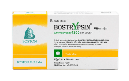 Bostrypsin boston (h/20v)