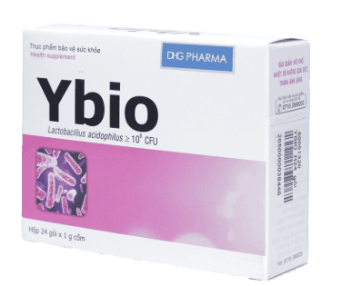 Ybio dhg pharma (h/24gói)