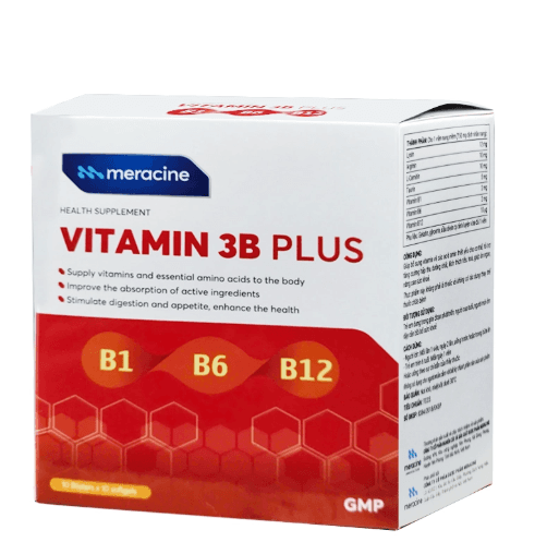 Vitamin 3b plus gia nguyễn pharma (h/100v)