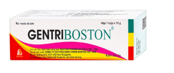 Gentriboston (Hộp 1 tuýp x 10g)