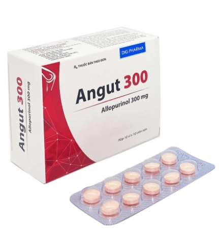 Angut 300 v/10 h/100 t/11200