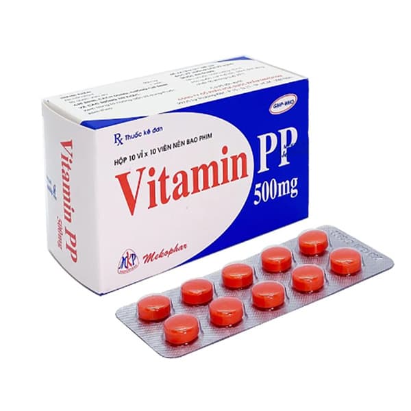 Vitamin PP Mekopharm (h/100v)