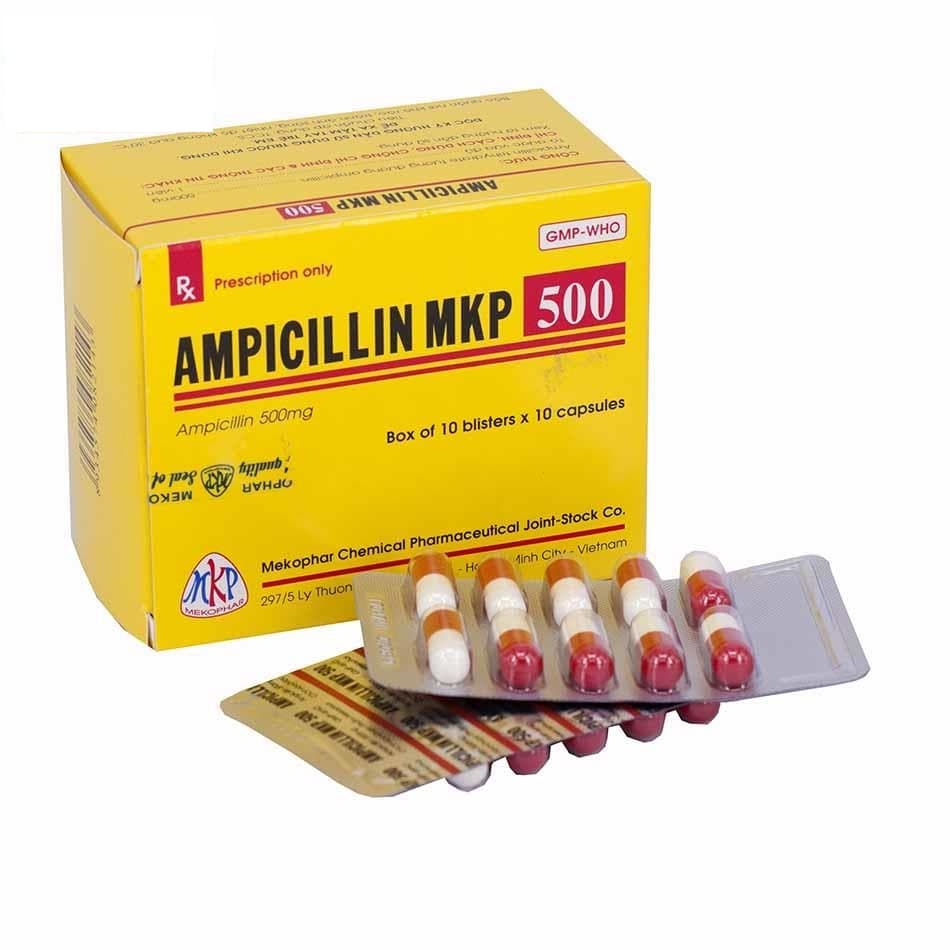 Ampicillin 500mg mekophar (h/100v)